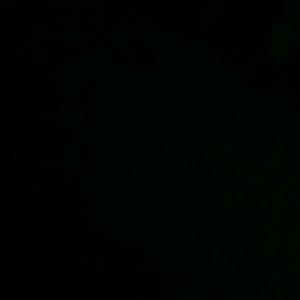 Meet your Posher, Ciera